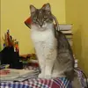 Отзыв от Варвара Ильинская